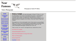 Desktop Screenshot of nearfamous.com